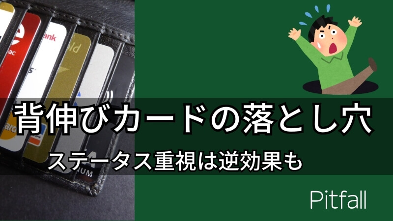 pitfall-1 画像